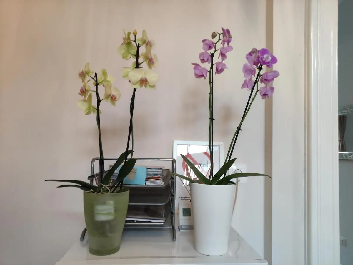 Falk Miksa Apartment Budapeste